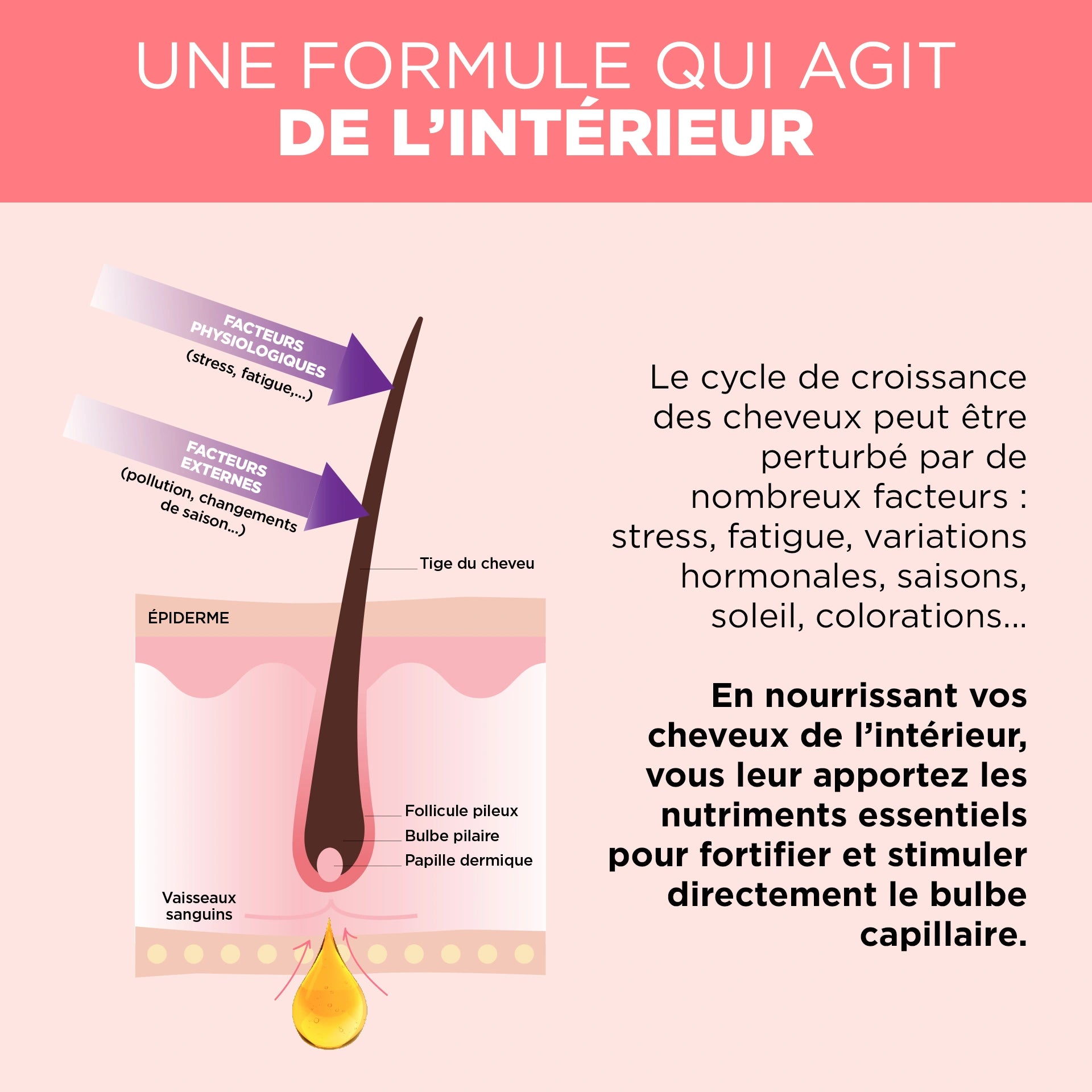 Pack Boost Anti-chute Cheveux